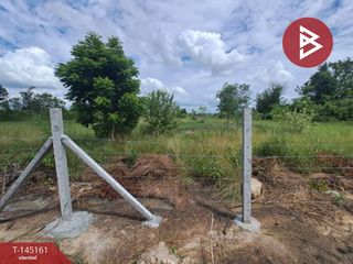 For sale land in Phan Thong, Chonburi
