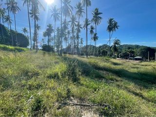 For sale land in Ko Samui, Surat Thani