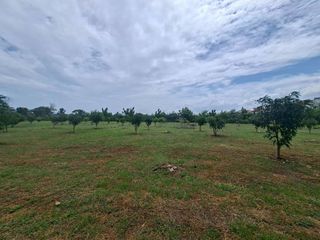 For sale land in Mueang Samut Prakan, Samut Prakan
