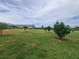 For sale land in Mueang Samut Prakan, Samut Prakan