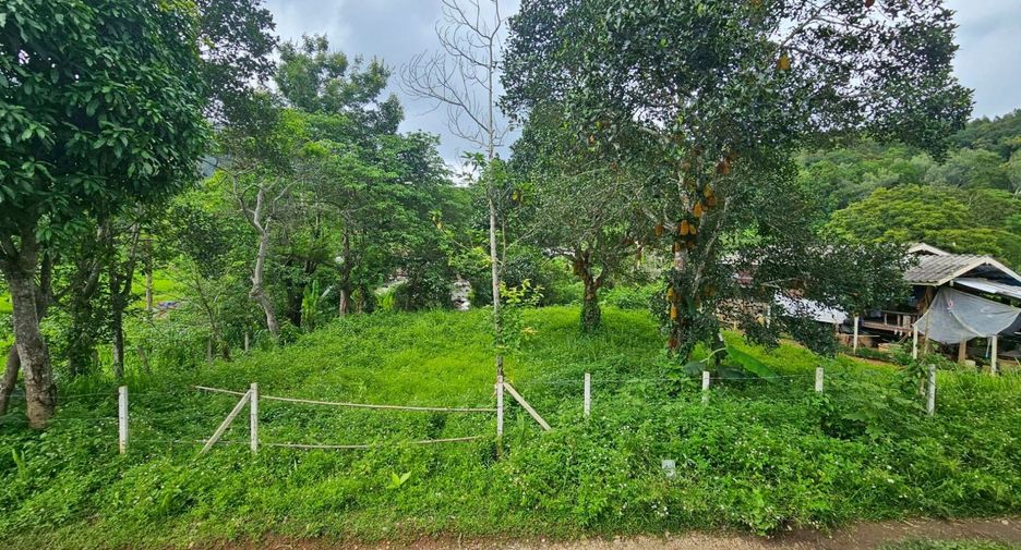 For sale land in Mae Rim, Chiang Mai