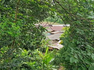 For sale land in Mae Rim, Chiang Mai