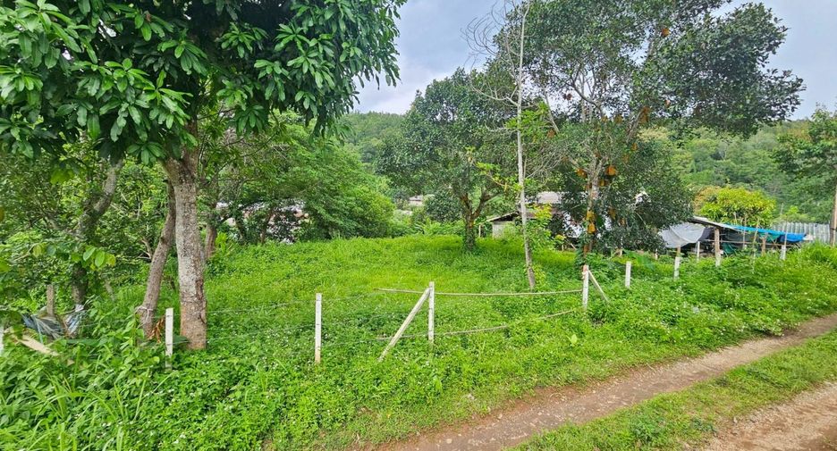 For sale land in Mae Rim, Chiang Mai