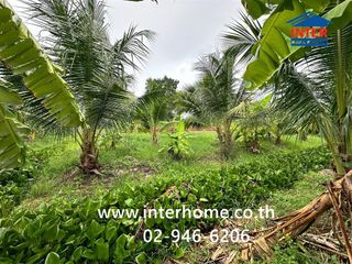 For sale land in Bang Yai, Nonthaburi