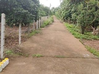 For sale land in Chiang Dao, Chiang Mai