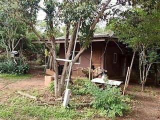 For sale land in Chiang Dao, Chiang Mai