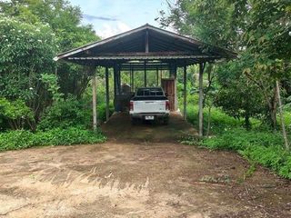 For sale land in Chiang Dao, Chiang Mai