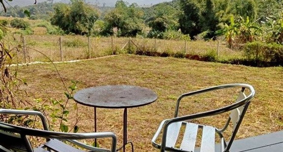 For sale land in Chiang Dao, Chiang Mai