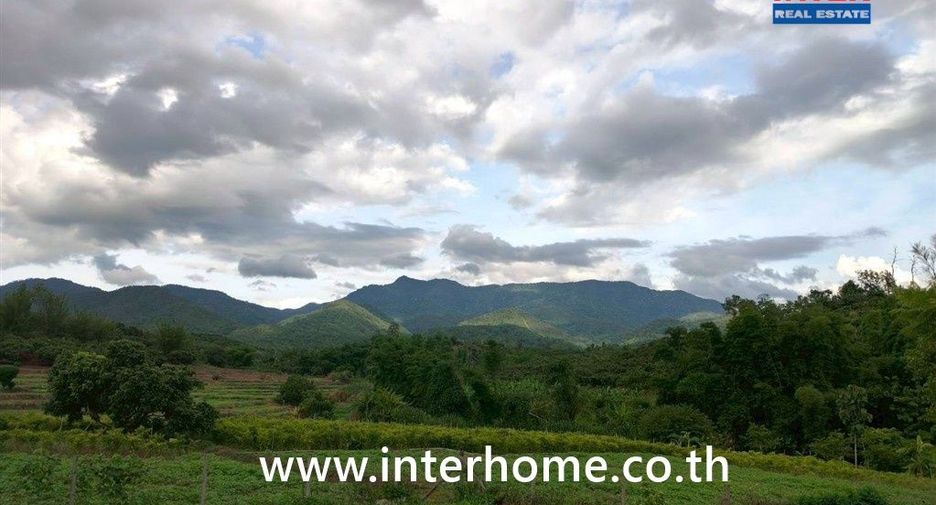 For sale land in Chiang Dao, Chiang Mai