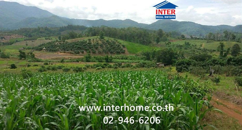 For sale land in Chiang Dao, Chiang Mai