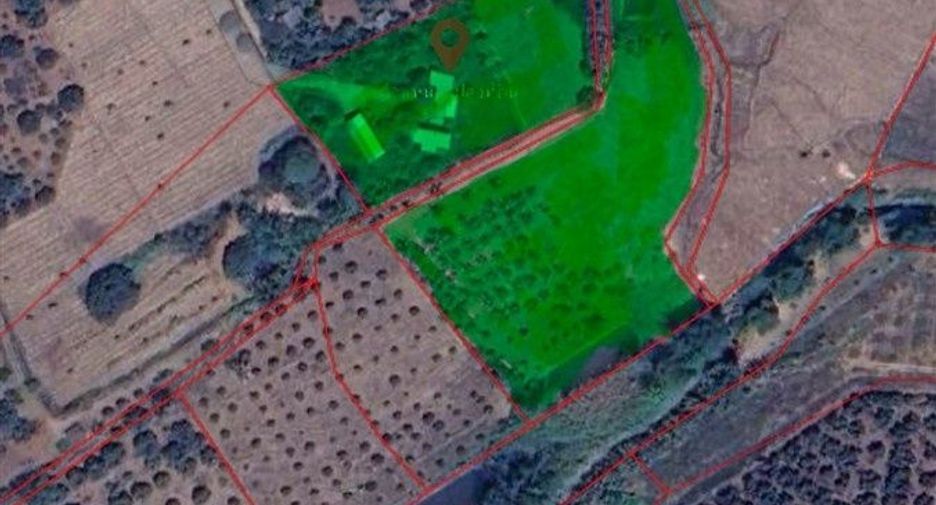 For sale land in Chiang Dao, Chiang Mai