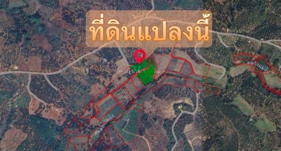 For sale land in Chiang Dao, Chiang Mai