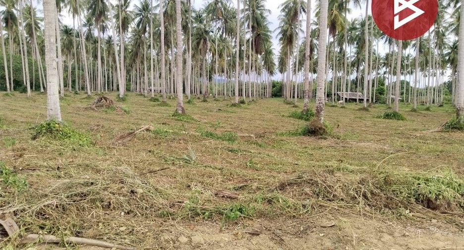 For sale land in Bang Saphan, Prachuap Khiri Khan