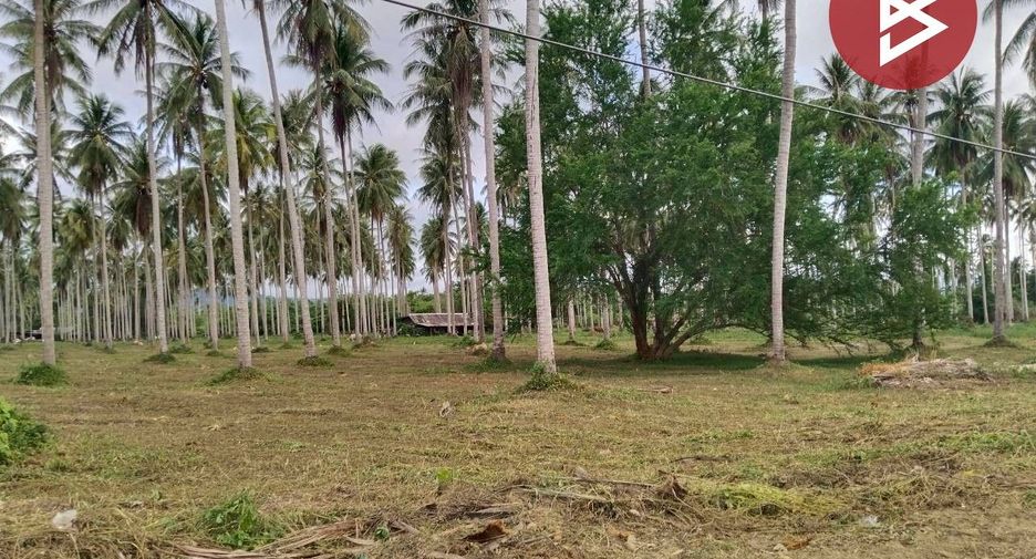 For sale land in Bang Saphan, Prachuap Khiri Khan