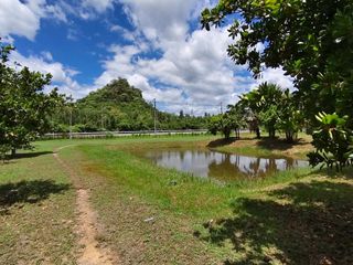 For sale land in Photharam, Ratchaburi