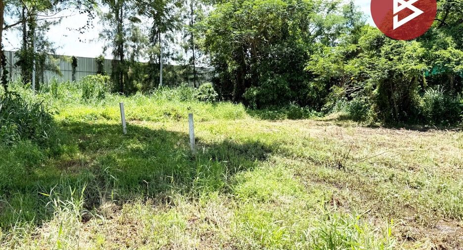 Terreno en venta en Doi Saket, Chiang Mai