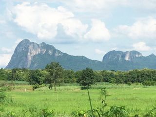 Продажа Участок в Phu Kradueng, Loei