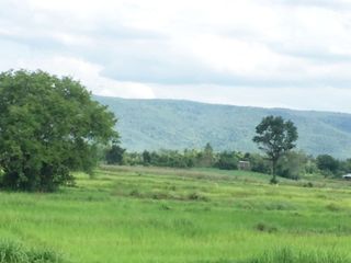 Продажа Участок в Phu Kradueng, Loei