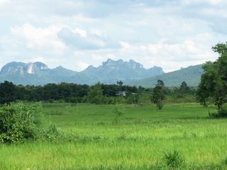 Продажа Участок в Phu Kradueng, Loei