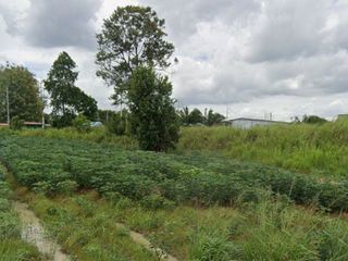 For sale land in Nong Yai, Chonburi