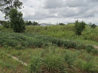 For sale land in Nong Yai, Chonburi