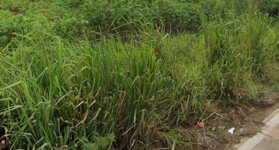 Terreno en venta en Nong Yai, Chonburi