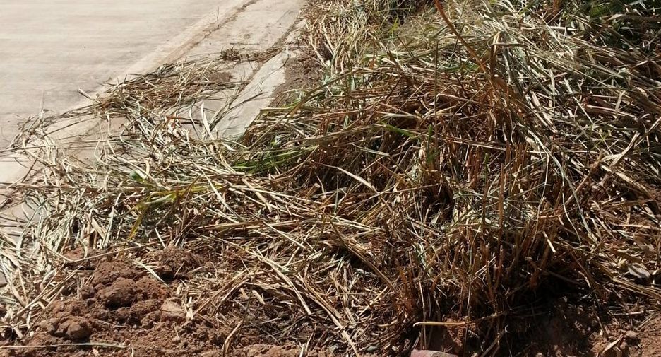 Terreno en venta en Nong Yai, Chonburi