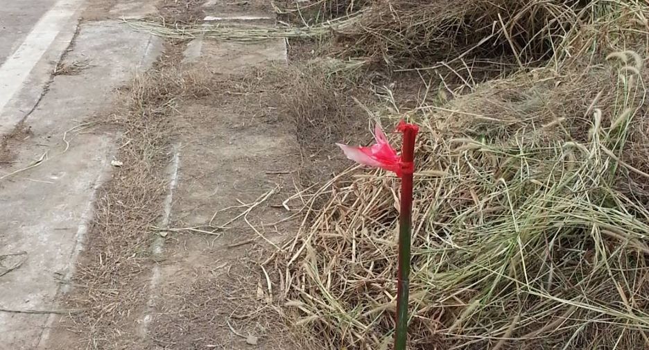 Terreno en venta en Nong Yai, Chonburi