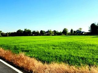 À vendre terrain à Ongkharak, Nakhon Nayok
