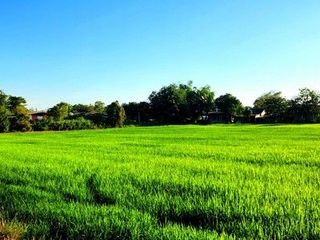 À vendre terrain à Ongkharak, Nakhon Nayok