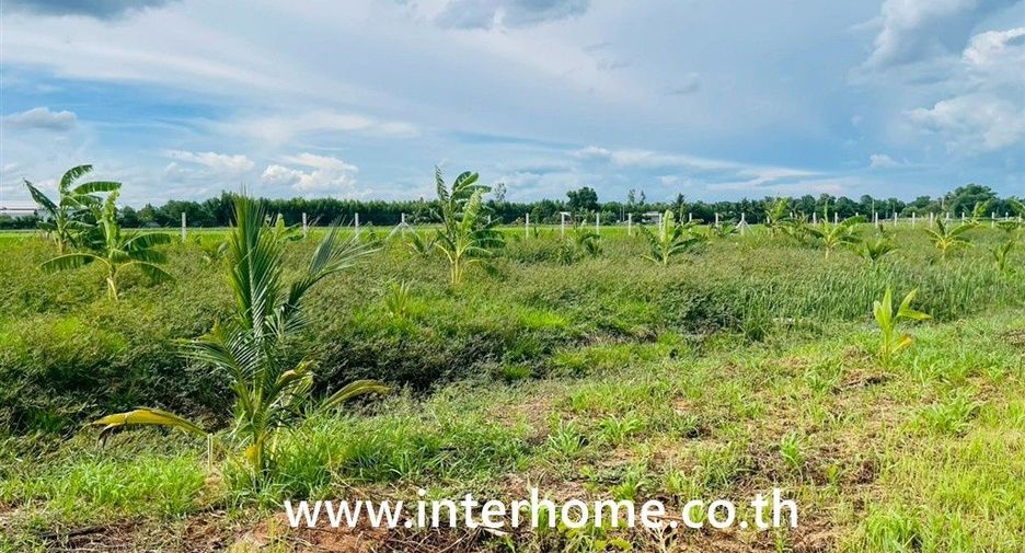 ขาย ที่ดิน ใน ลำลูกกา, ปทุมธานี