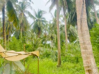 For sale land in Ban Laem, Phetchaburi