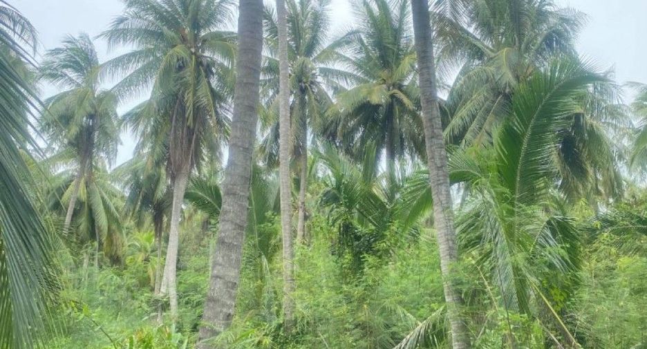 出售 土地 在 Ban Laem, Phetchaburi