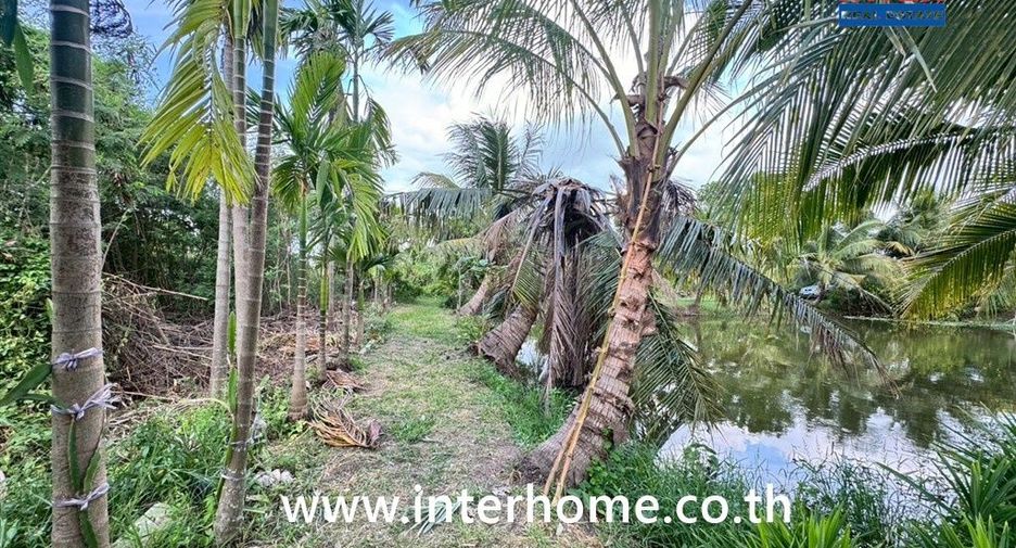 Terreno en venta en Sai Noi, Nonthaburi