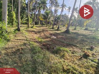 Terreno en venta en Bang Saphan, Prachuap Khiri Khan