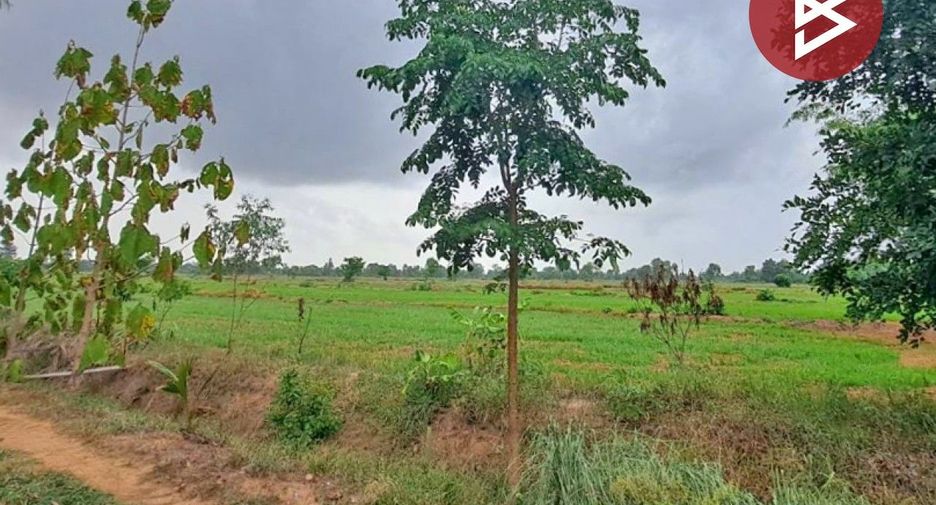 Продажа Участок в Tap Khlo, Phichit