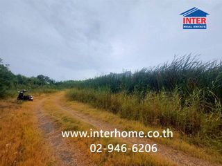 For sale land in Sam Phran, Nakhon Pathom