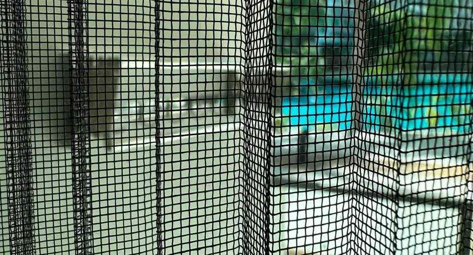 For rent 1 bed condo 