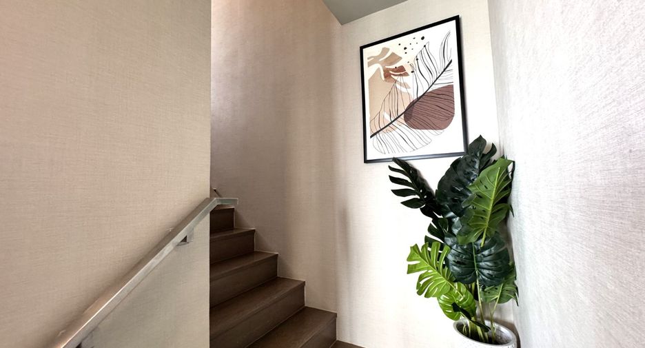 Wohnung zur Miete mit 2 Zimmer 