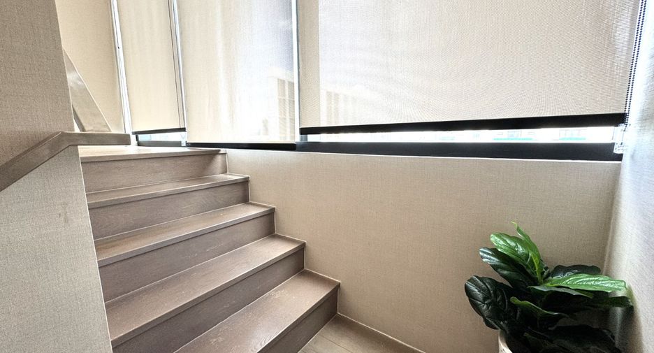 Wohnung zur Miete mit 2 Zimmer 