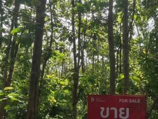 À vendre terrain à Takhli, Nakhon Sawan