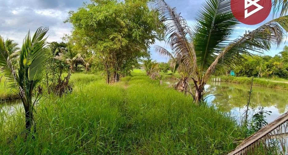 For sale land in Yang Talat, Kalasin