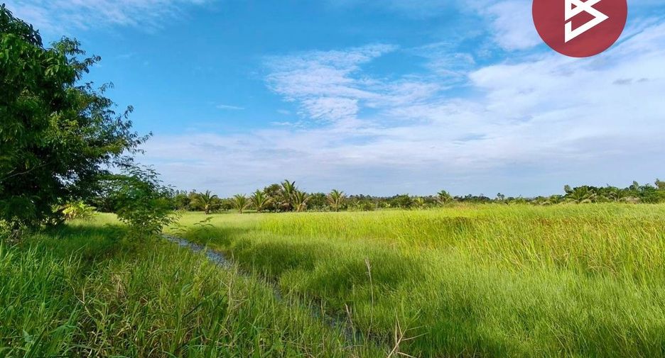 For sale land in Yang Talat, Kalasin