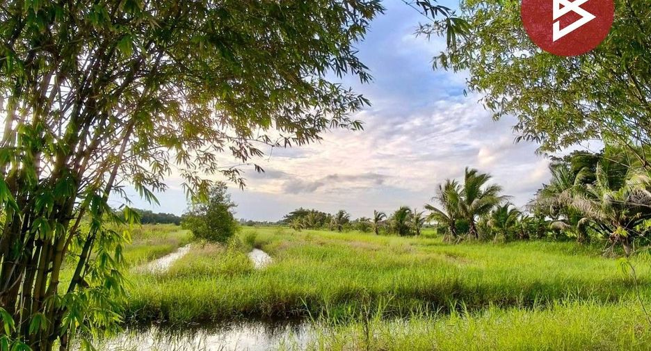 For sale land in Yang Talat, Kalasin