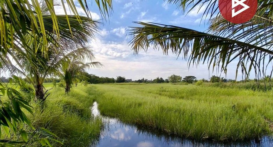 For sale land in Yang Talat, Kalasin