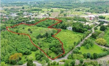 For sale land in Chiang Dao, Chiang Mai