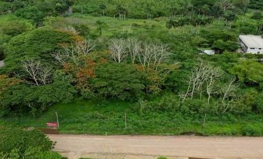 For sale land in Chiang Dao, Chiang Mai