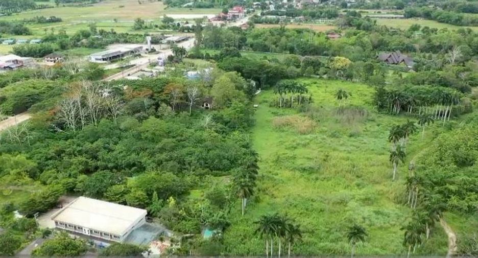 For sale land in Chiang Dao, Chiang Mai