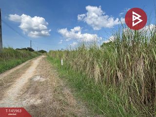 For sale land in Phanat Nikhom, Chonburi