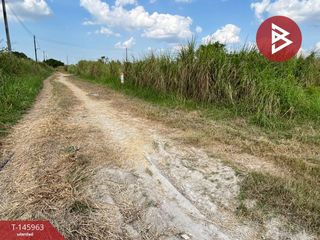 For sale land in Phanat Nikhom, Chonburi
